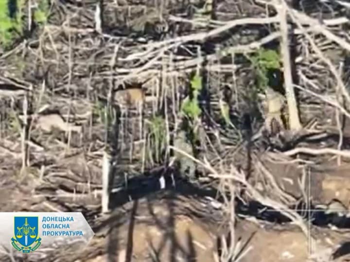 Окупанти розстріляли двох військовополонених на Покровському напрямку, відкрито справу