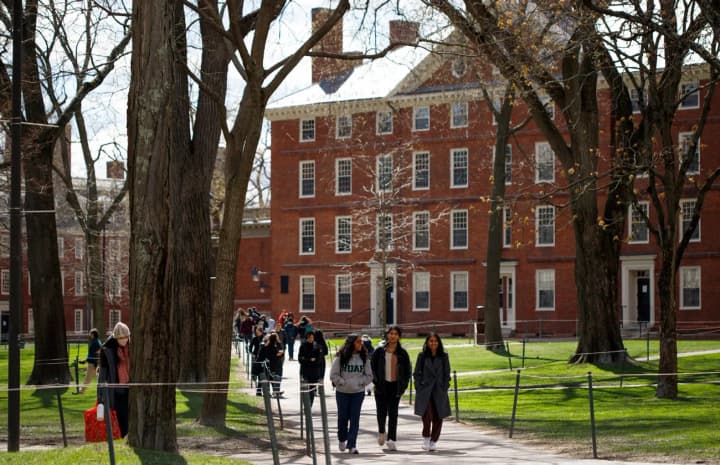 Администрация Трампа разорвет федеральные контракты с Гарвардским университетом