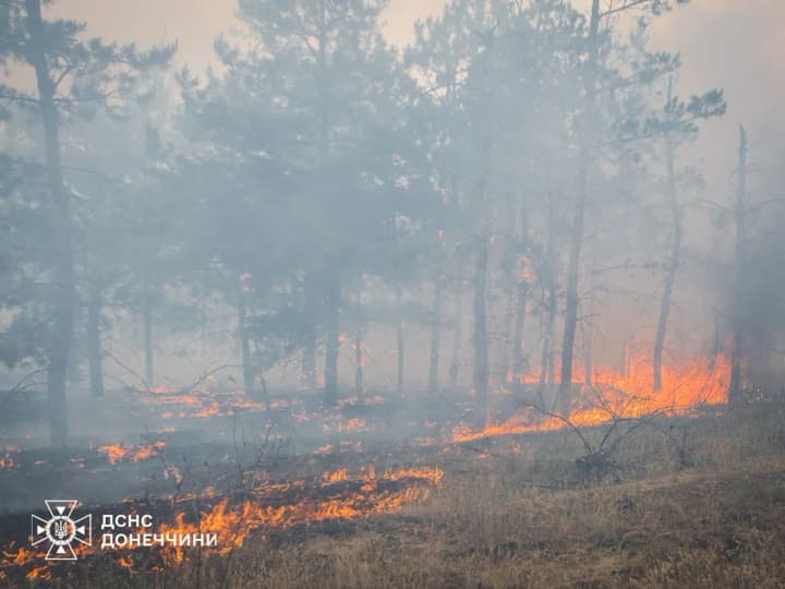 В Донецкой области масштабный лесной пожар из-за авиаудара рф: людей просят не приближаться