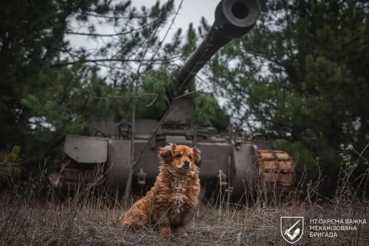 ВСУ сдерживают наступление российской армии: 107 боев в воскресенье на 10 направлениях фронта