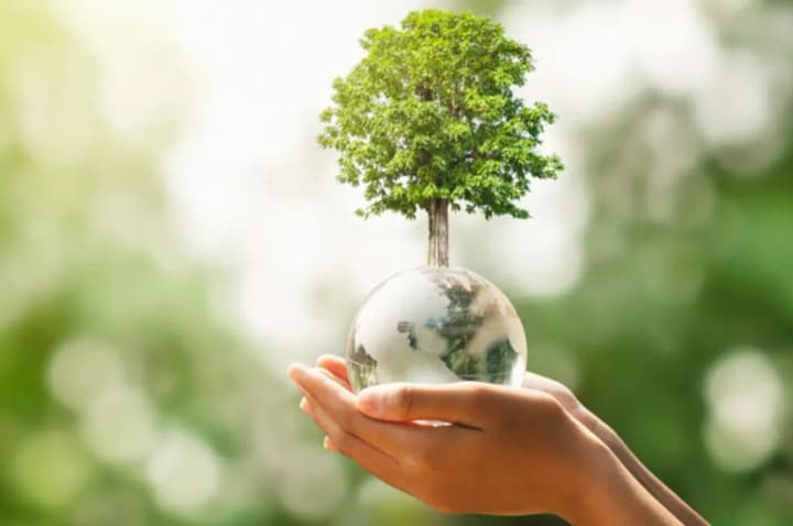 Beginning of Green Holidays, Balloon Day, World Environment Day: what is celebrated on June 5