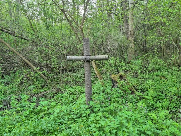 Minister of Culture Tochitsky denied the fake about the suspension of exhumation of dead Poles in Puzhnyky