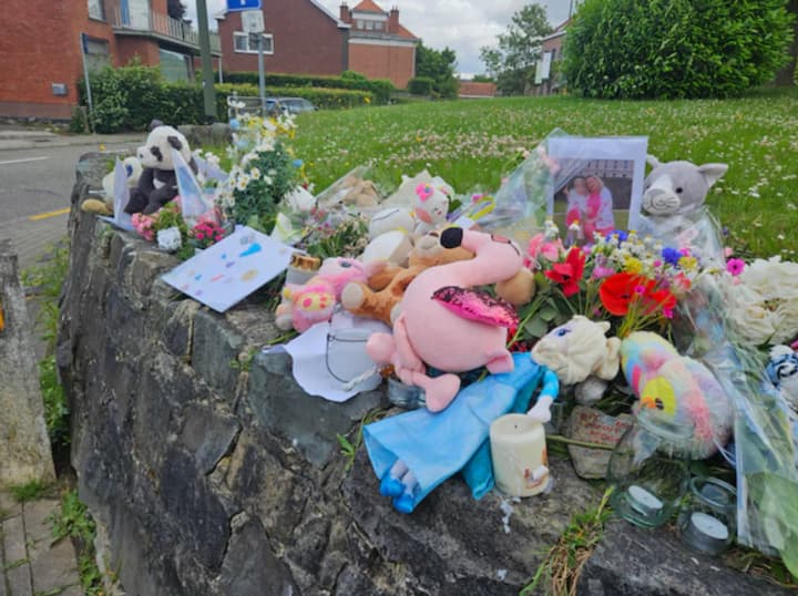 Вбивство матері і доньки з України у Бельгії: син загиблої заявив, що пішов на злочин через побутову сварку