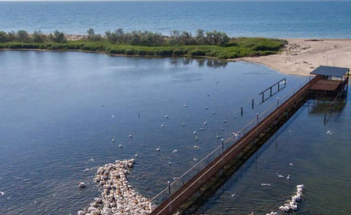 Large-scale fish catch in the "Tuzlovsky Limany" park: environmentalists confirmed damages of over 3 million hryvnias