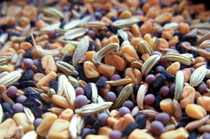 The EU has opened the market for several types of Ukrainian seeds: details
