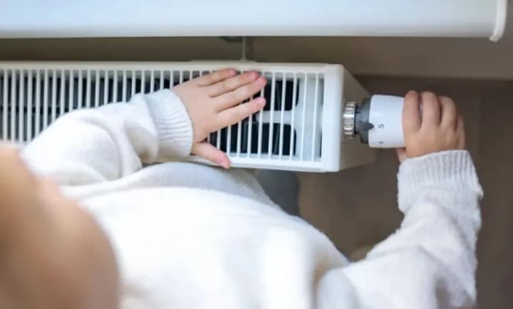 System operability and fuel accumulation: the government has approved the plan for preparation for the heating season