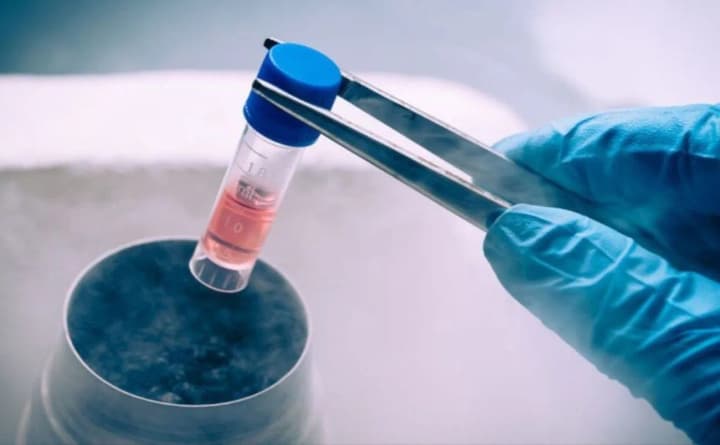 Військові можуть безплатно зберегти репродуктивні клітини: МОЗ озвучило алгоритм дій