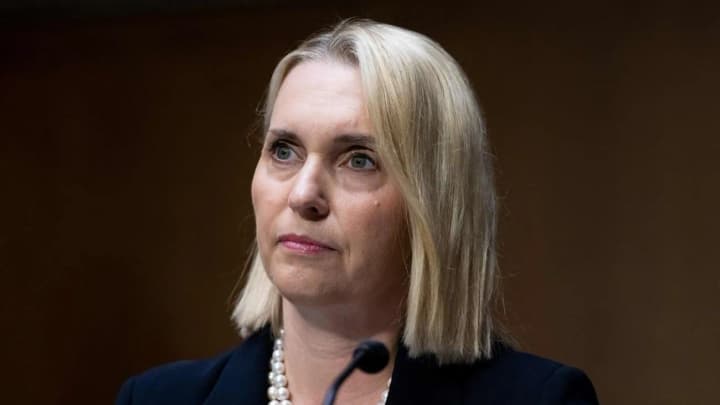 Колишня посол США в Україні Брінк балотуватиметься в Конгрес від Мічигану