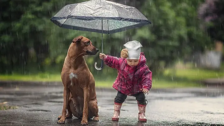 Rains and thunderstorms to cover Ukraine on June 23: detailed weather forecast