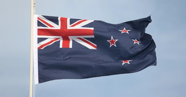 Нова Зеландія оголосила про пакет допомоги для України на понад 9 млн доларів 