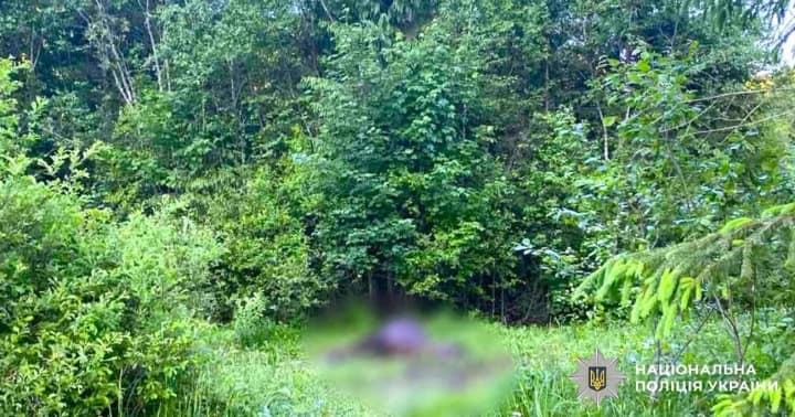 На Франківщині поліція розшукує зловмисника, який розстріляв коня на пасовищі