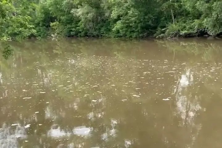 Полтавський екоцид: хто дозволив "Глобино" отруювати Псел?