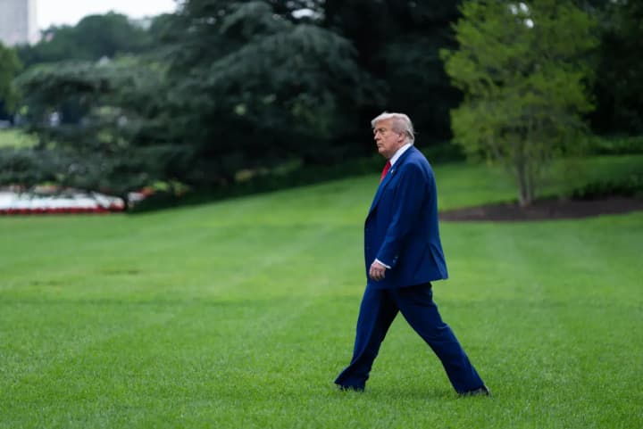 Трамп про саміт НАТО: "сподіваюся, буде багато досягнуто"