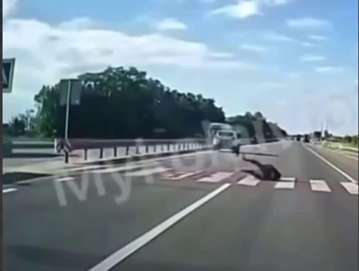 На Львівщині сталась ДТП за участі авто патрульної поліції, постраждала дитина