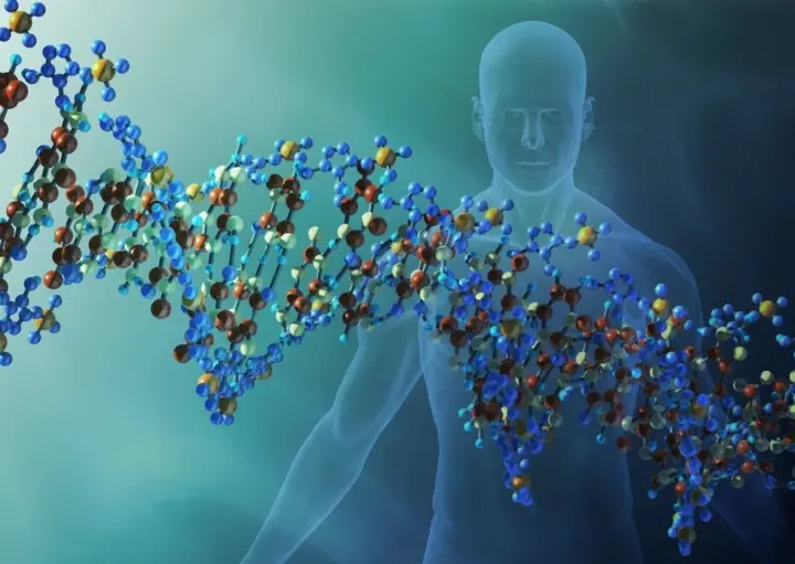 Розпочато cуперечливий проект зі створення штучної ДНК людини "з нуля"