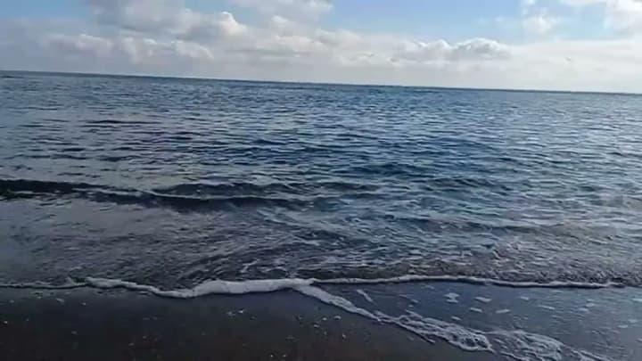 В Черном и Азовском морях отсутствуют боевые корабли рф