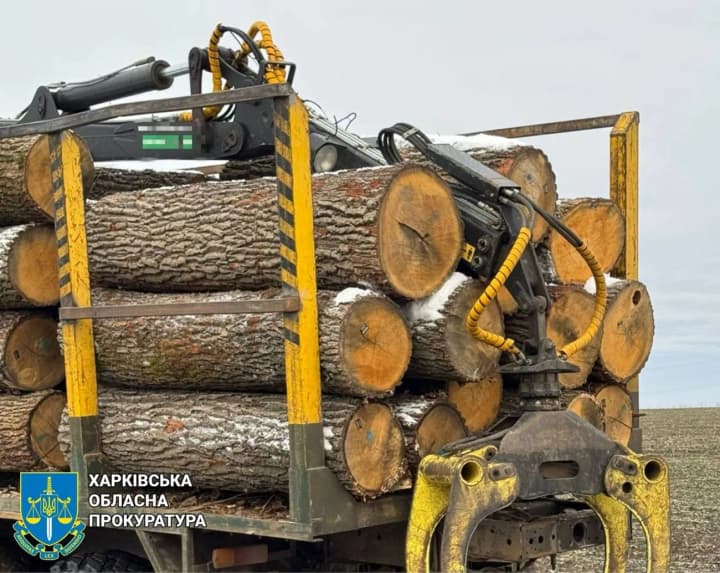 На Харківщині викрили групу злодіїв, які вкрали у держави лісу на 2 млн грн