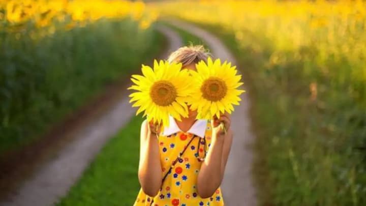 “The wind remains gusty, the heat will get closer”: weather forecast for July 2 in Ukraine