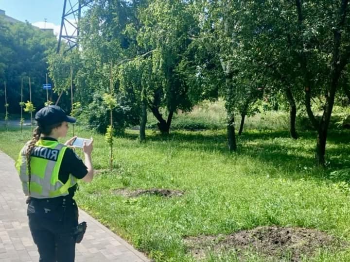 Sakura trees planted in honor of fallen media workers stolen in Kyiv