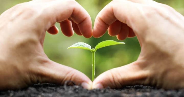 Day of the Nature Reserve Worker and Love: what else is celebrated today