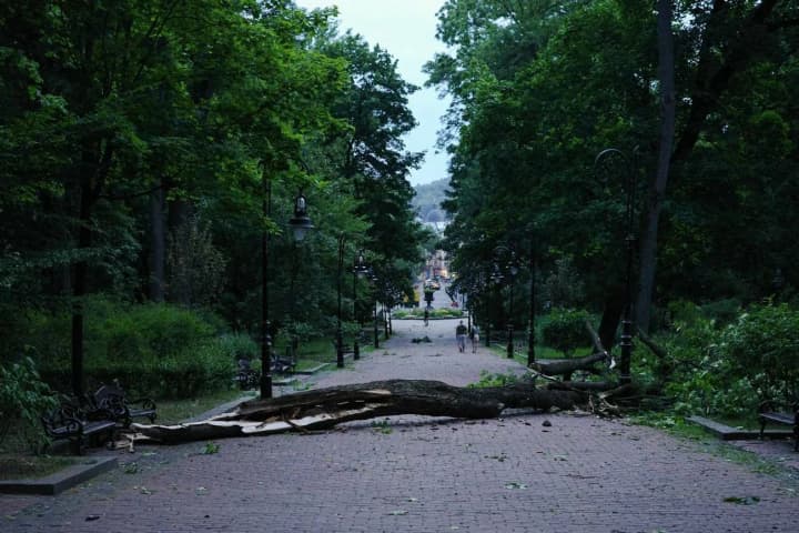 33 trees damaged, 8 power outages recorded: Sadovyi on the consequences of bad weather