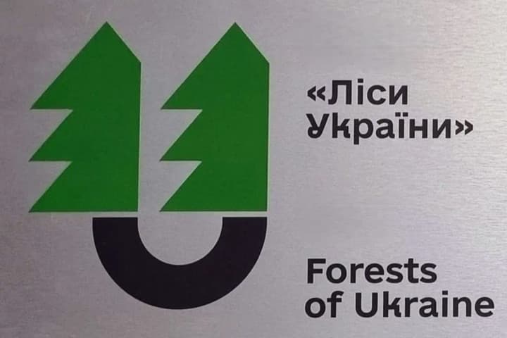 Топ-посадовці "Лісів України" отримали підозри у справі на 8 млн грн: деталі