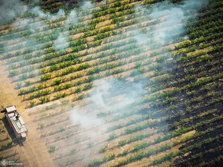 Wildfires in Ukraine burned 383 hectares in a day: there is one fatality and injured