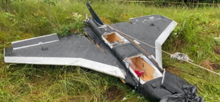 A drone flew into Lithuania from the territory of Belarus: the Minister of National Defense states that it was a Gerbera