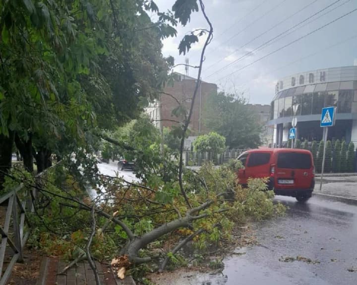 Непогода парализовала Черкасскую область: поваленные деревья и обесточенные села