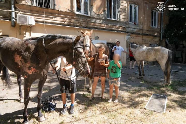 Удар рф по Одесі: кількість постраждалих зросла до 11, загинула тварина