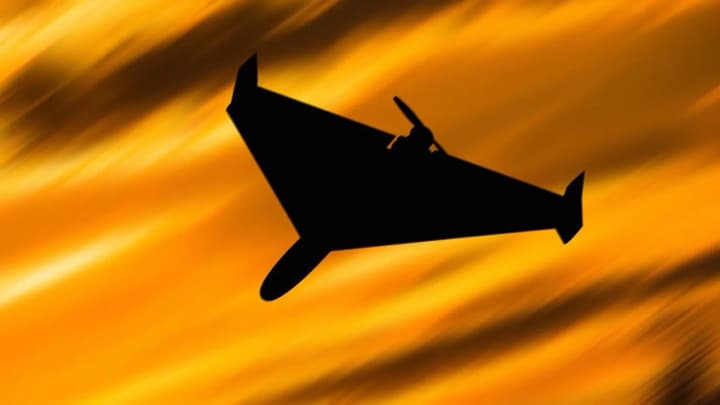 EU Commissioner called on Baltic states to create a drone shield