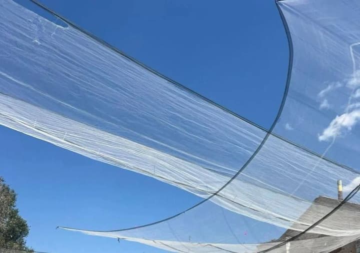 Anti-drone nets are being installed in Zaporizhzhia Oblast: in particular, structures are already present on the streets of Orikhiv