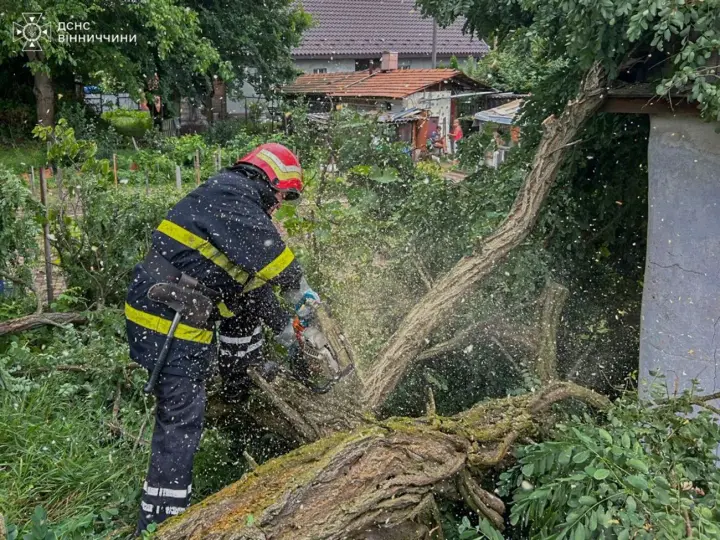 Грози та зливи не вщухають: в низці областей України рятувальники борються з наслідками негоди