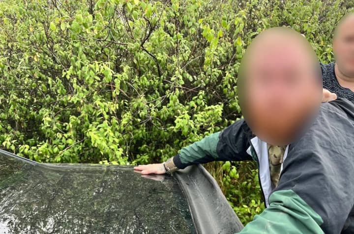 Двоє киян підпалювали будинки родин військових на замовлення спецслужб рф: подробиці від Нацполіції