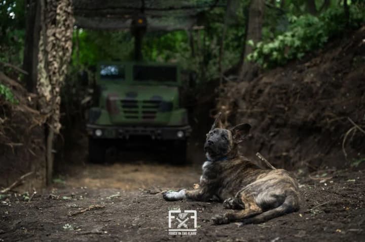72 бойові зіткнення на фронті: ворог активно діє на Покровському та Лиманському напрямках