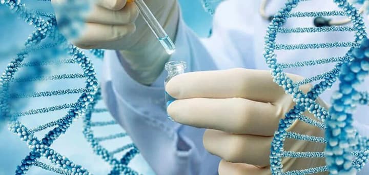 Збір ДНК українців у Балтії та Північній Європі для пошуку зниклих родичів: як записатись та скільки триватиме 