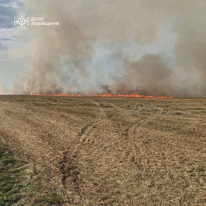 164 природных пожара произошло в Украине за сутки: мужчина едва не погиб во Львовской области
