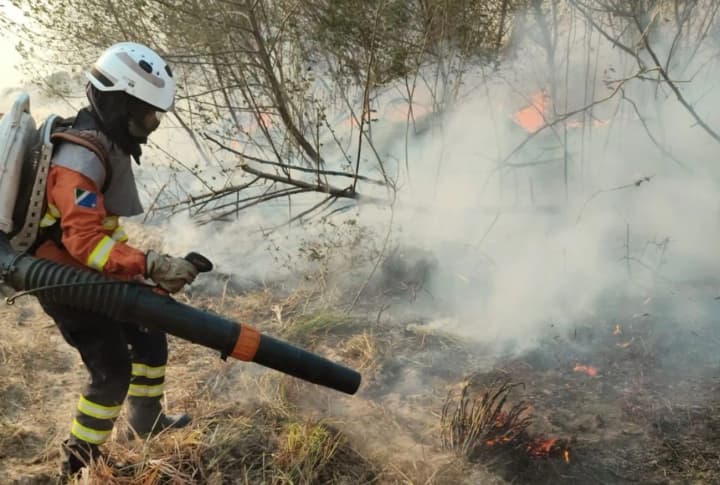 Hellish heat engulfed Portugal: the country is battling three large-scale forest fires