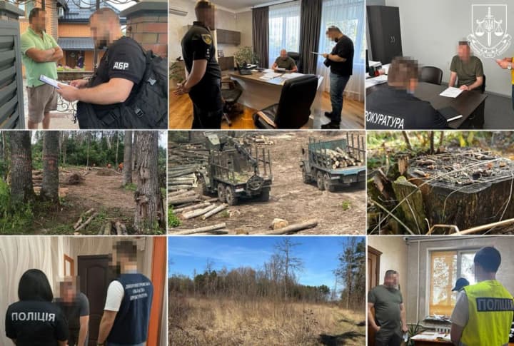 Criminal schemes and millions in losses at the state enterprise "Forests of Ukraine": Kravchenko stated that over 40 suspicions have been announced in recent weeks