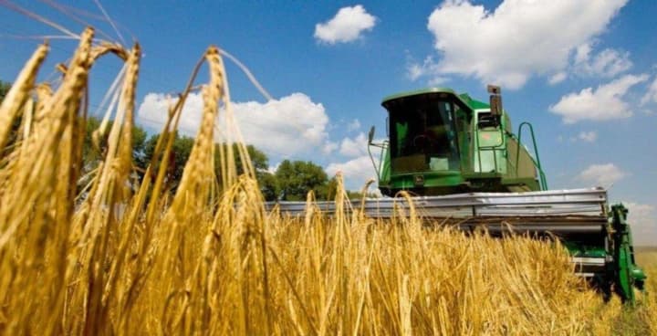 National Bank lowered the forecast for most crops: what influenced it