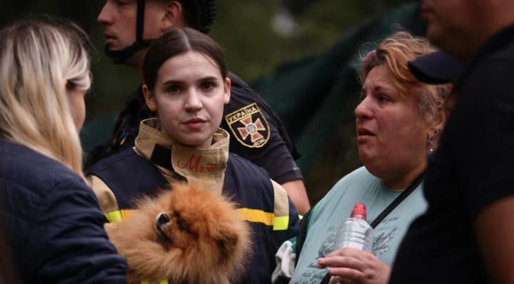 Animals rescued in Kyiv from a house destroyed by Russia: photos