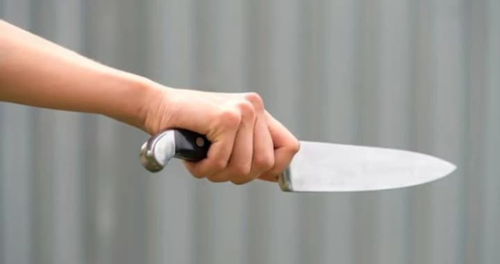 В Житомире 17-летнюю девушку подозревают в жестоком убийстве своего парня