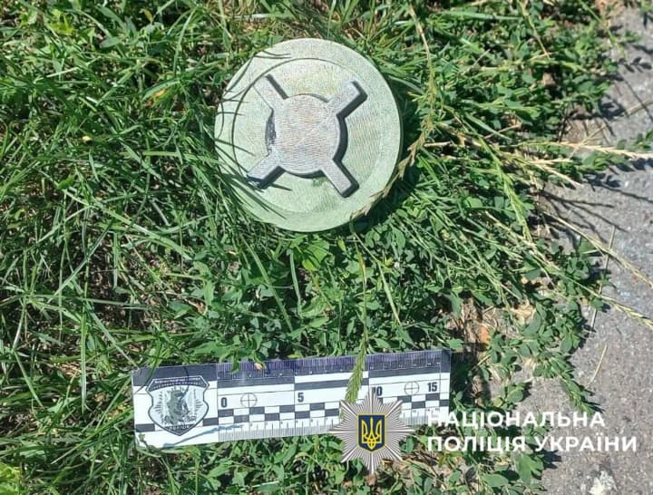 У Святошинському районі Києва, на дитмайданчику знайшли муляж міни