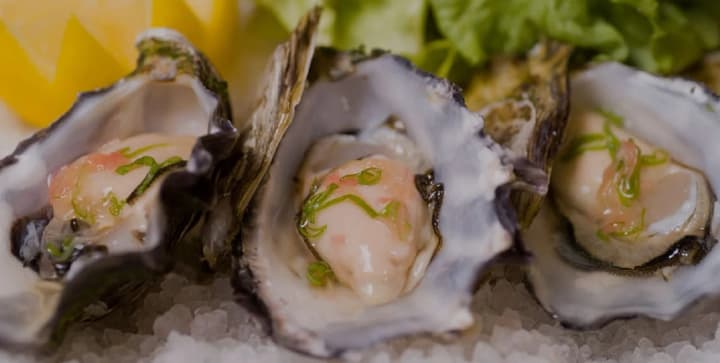 World Oyster Day and International Traffic Light Day: what else is celebrated on August 5