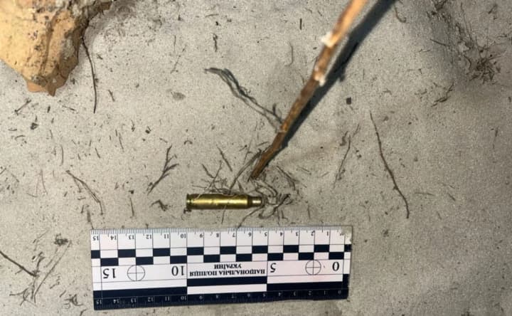 In Kyiv region, a man shot his neighbor's dog: now he faces up to three years in prison