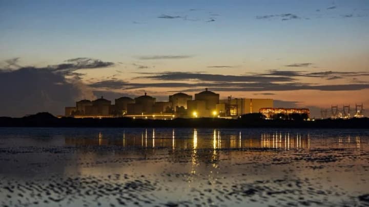 Jellyfish stopped four reactors of France's largest nuclear power plant