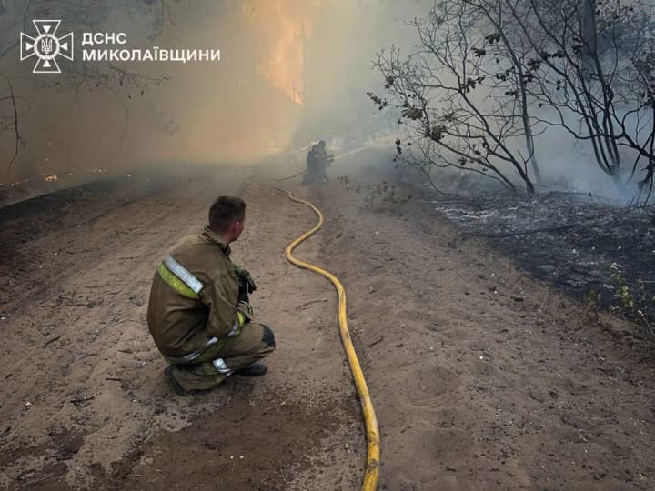 Масштабна лісова пожежа в урочищі випалила 93 гектари на Миколаївщині