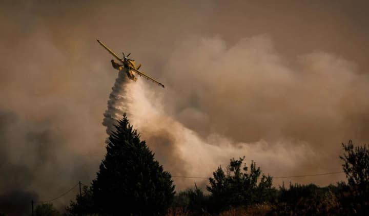 Portugal and Spain in flames: dozens of fires destroy forests, Lisbon asks Europe for help