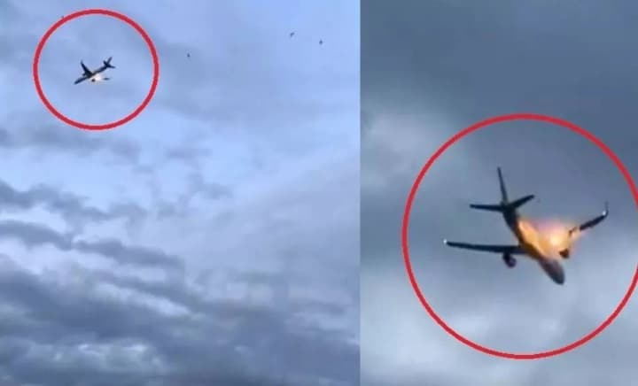 Самолет Condor с более чем 270 пассажирами едва не разбился из-за возгорания двигателя: совершена аварийная посадка