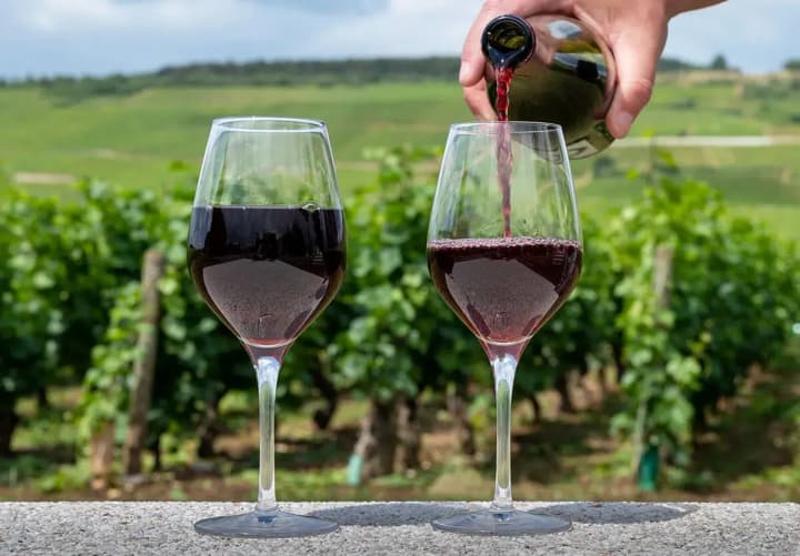 Міжнародний день Піно Нуар та День "Ніколи не здавайся": що ще відзначають 18 серпня